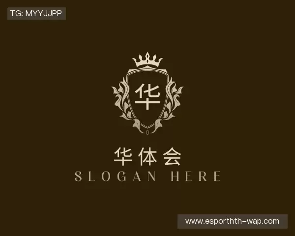 关于华体会电竞